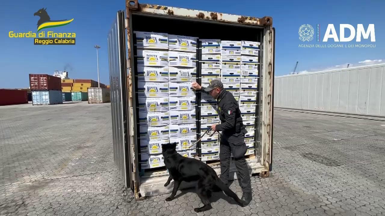 Gioia Tauro, sequestrare tre tonnellate di cocaina nascoste nelle casse di banane