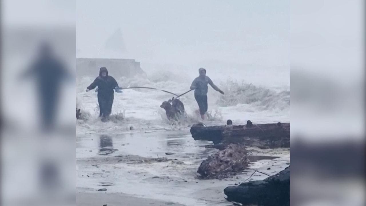 Maltempo e mareggiate in Oregon, la passeggiata con i cani diventa una fuga dalle onde