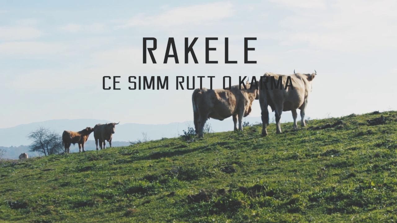 Rakele e il suo 'karma': 'Ce simm rutt o...'