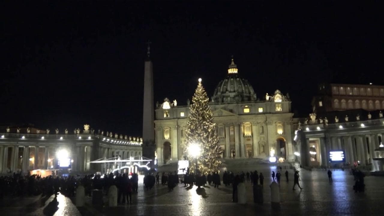 Roma, si accende l'albero di Natale in Piazza San Pietro