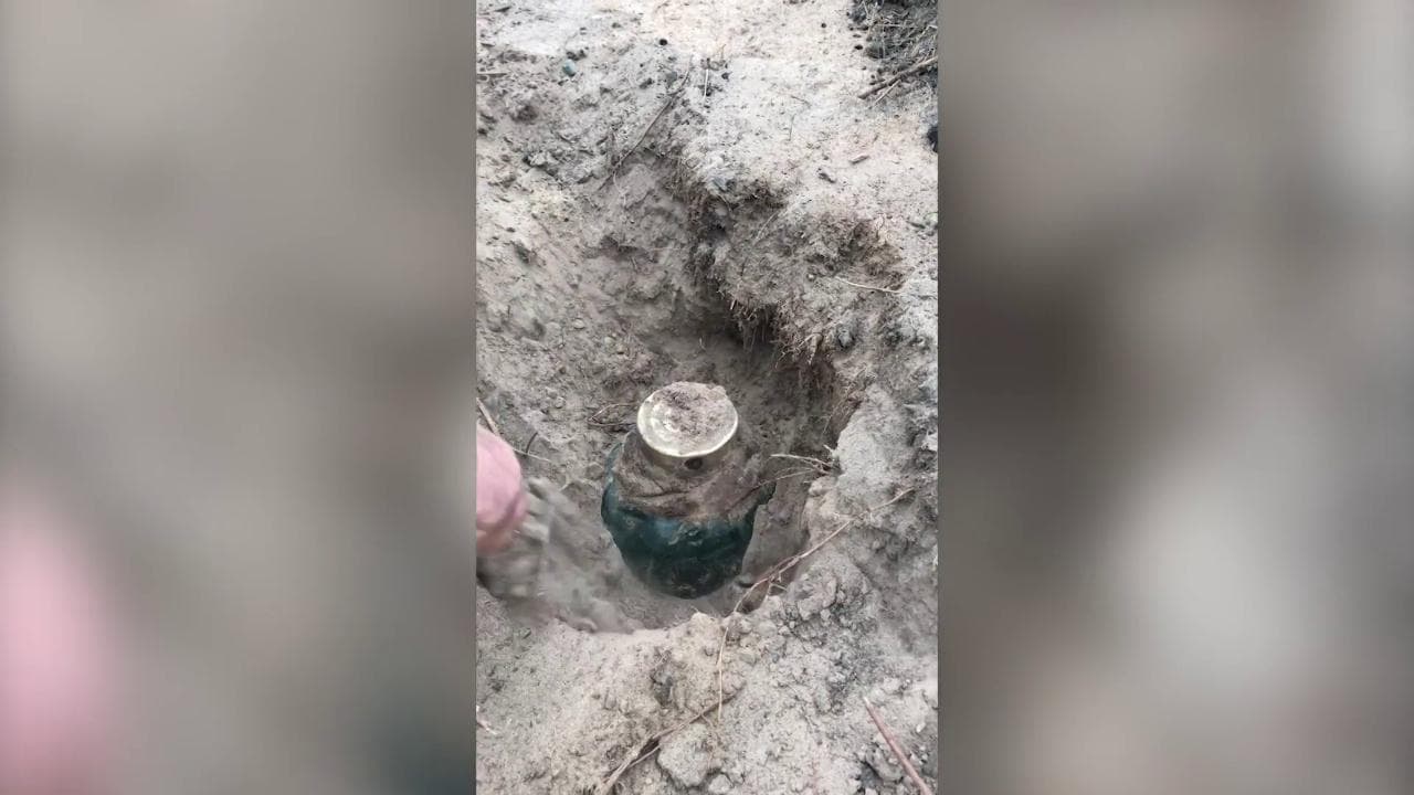Ucraina, scavano per piantare un albero ma trovano un "tesoro" sotterrato 40 anni fa