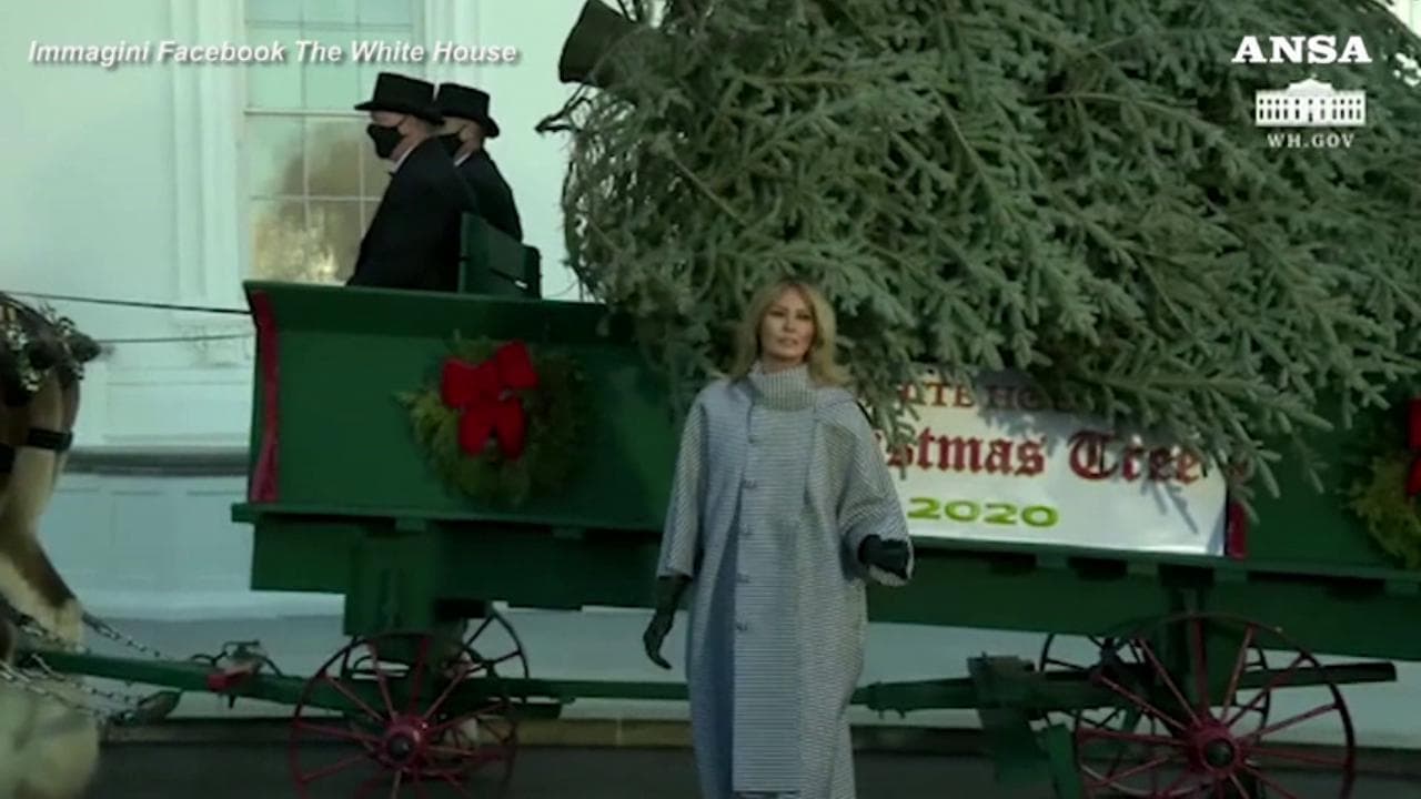 Usa, Melania Trump riceve l'ultimo albero di Natale alla Casa Bianca