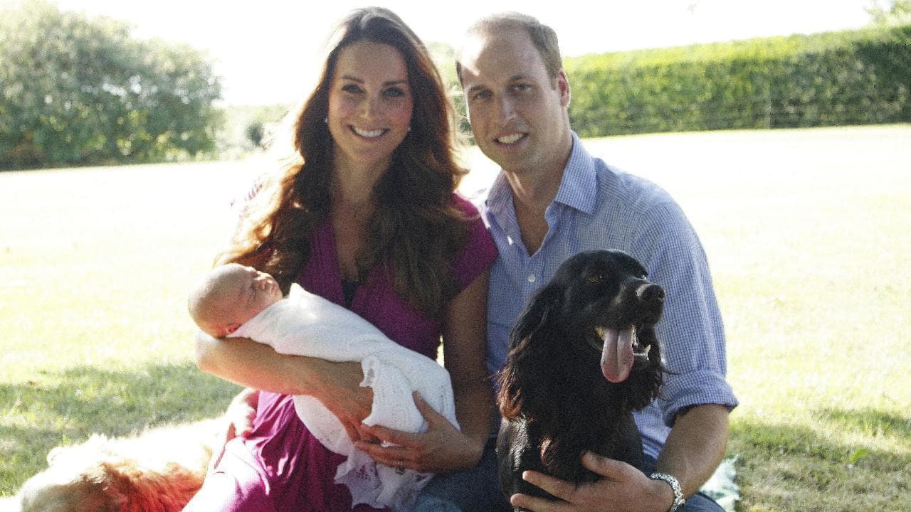 Addio a Lupo, il cane di William e Kate: "Per nove anni nel cuore della nostra famiglia"