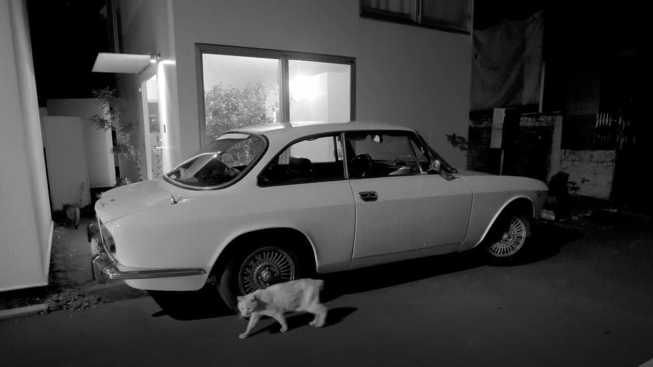 La Giulia d'epoca colpisce ancora: premiato al Milano Design Film Festival il suo film