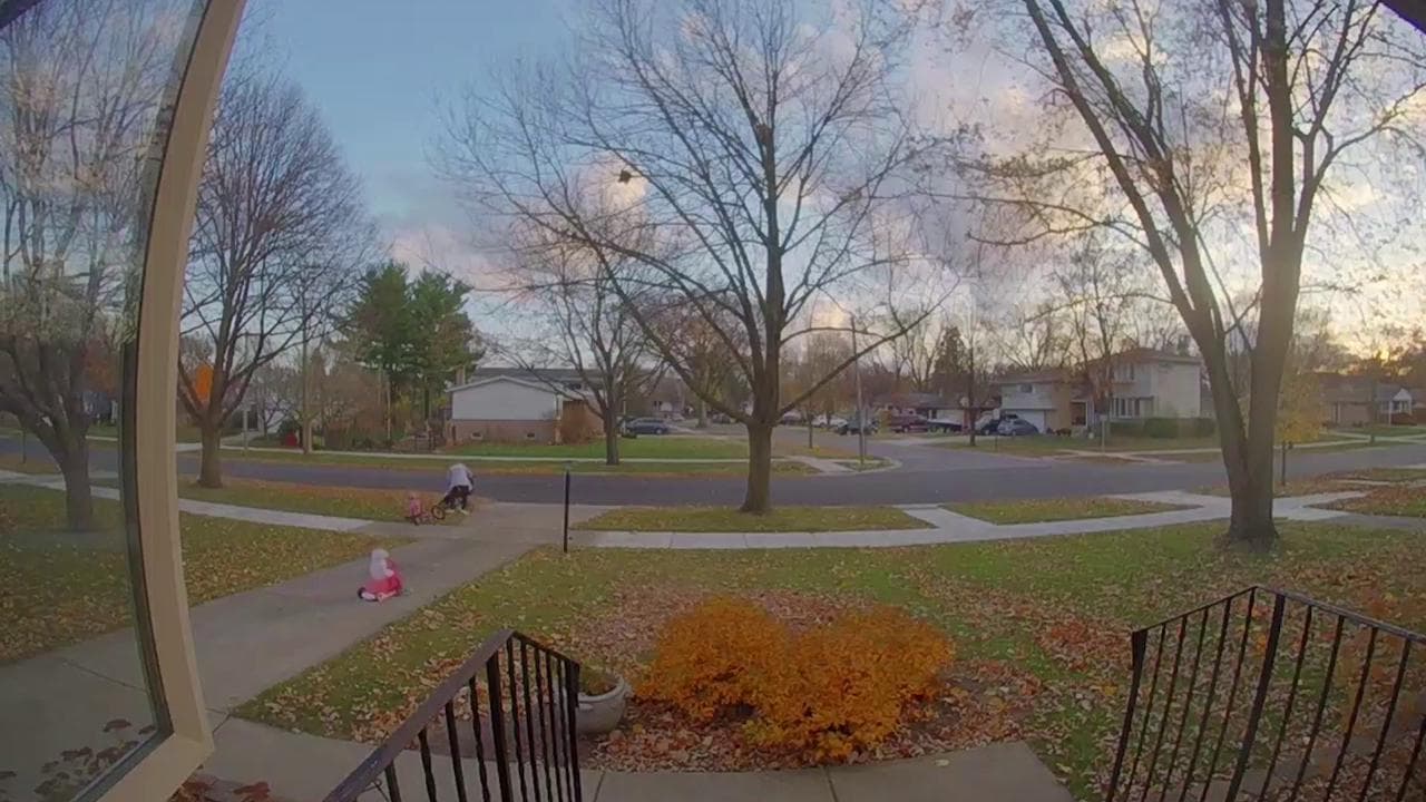 Una mamma e quattro bambini piccoli: ecco cosa può succedere durante una passeggiata