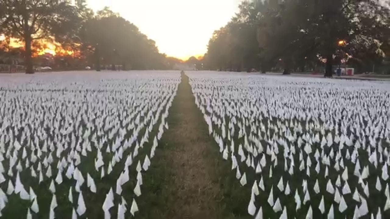Ogni vittima una bandierina: a Washington il campo dei caduti per il Covid