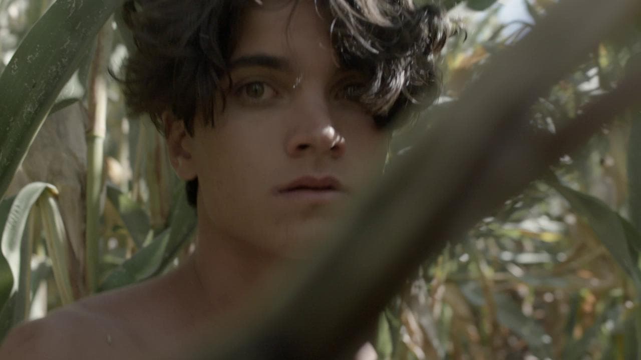 'In un futuro aprile - Il giovane Pasolini', la giovinezza in Friuli in un doc