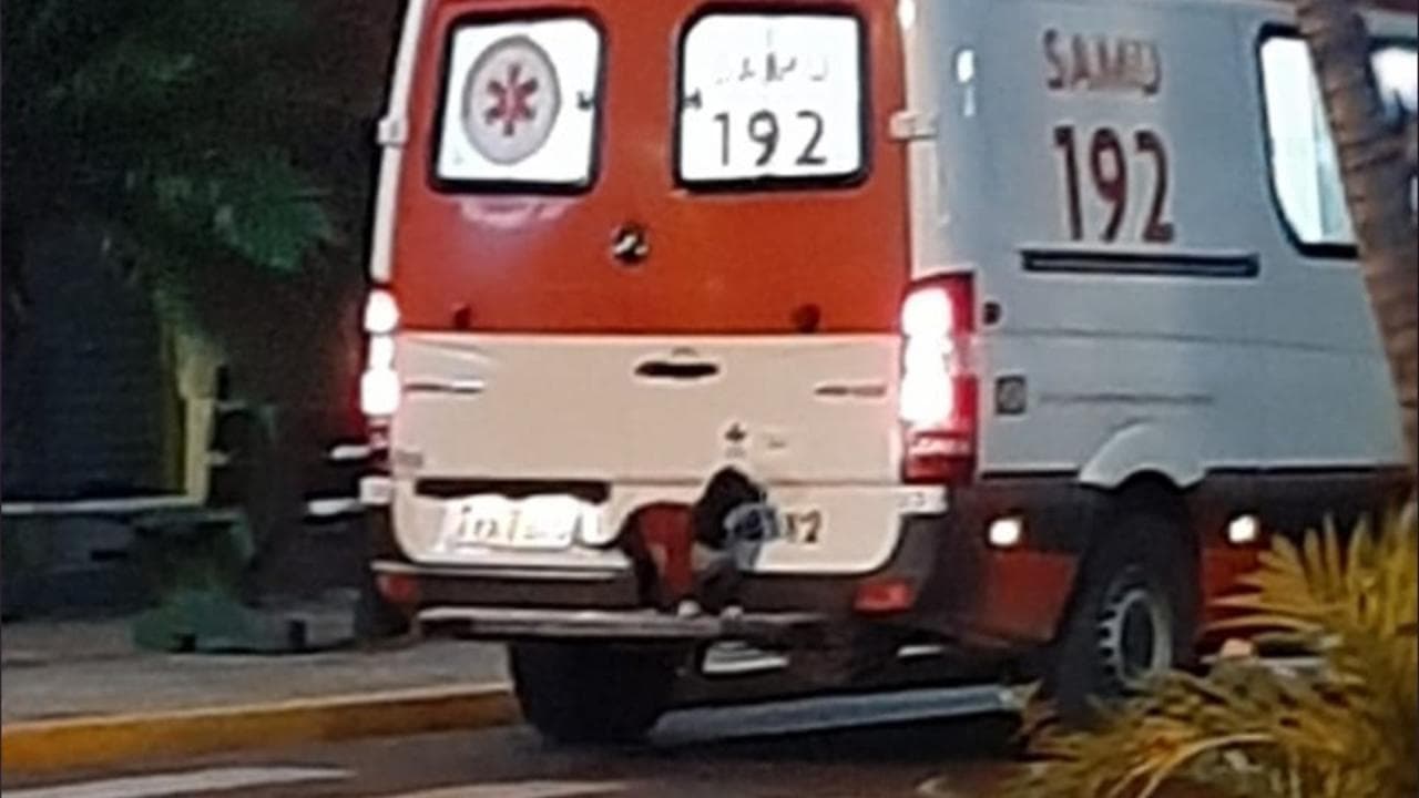 Brasile, l'ambulanza porta il padrone in ospedale: la cagnolina commuove gli infermieri