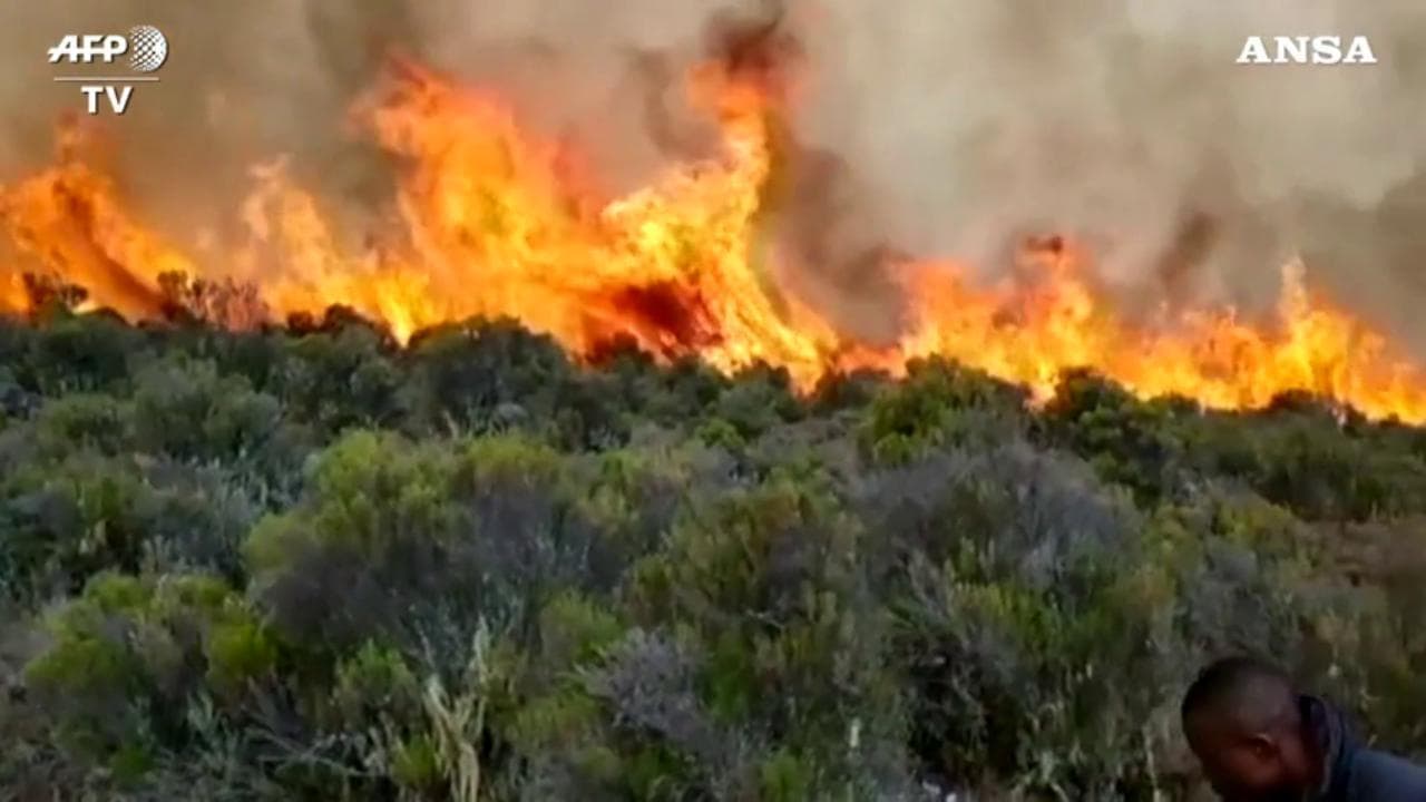 Tanzania, il Kilimangiaro brucia: vasto incendio sulle pendici della montagna più alta dell'Africa