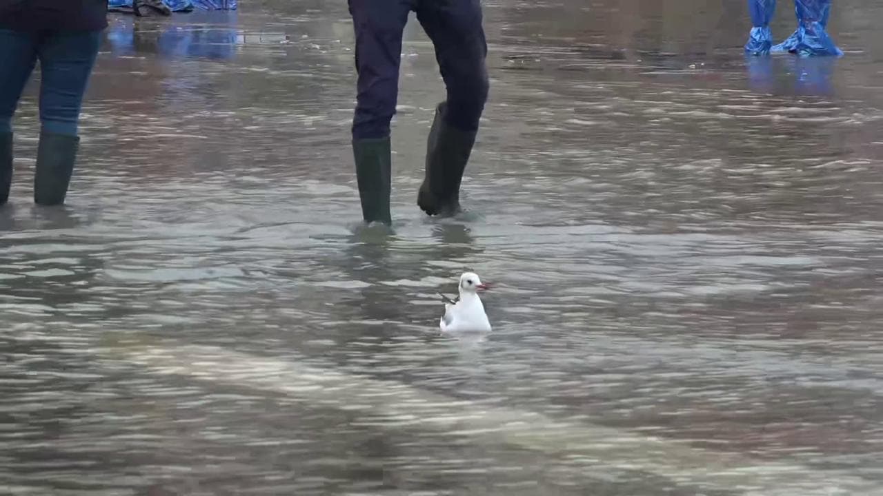 Maltempo: acqua alta a Venezia, si alza il Mose