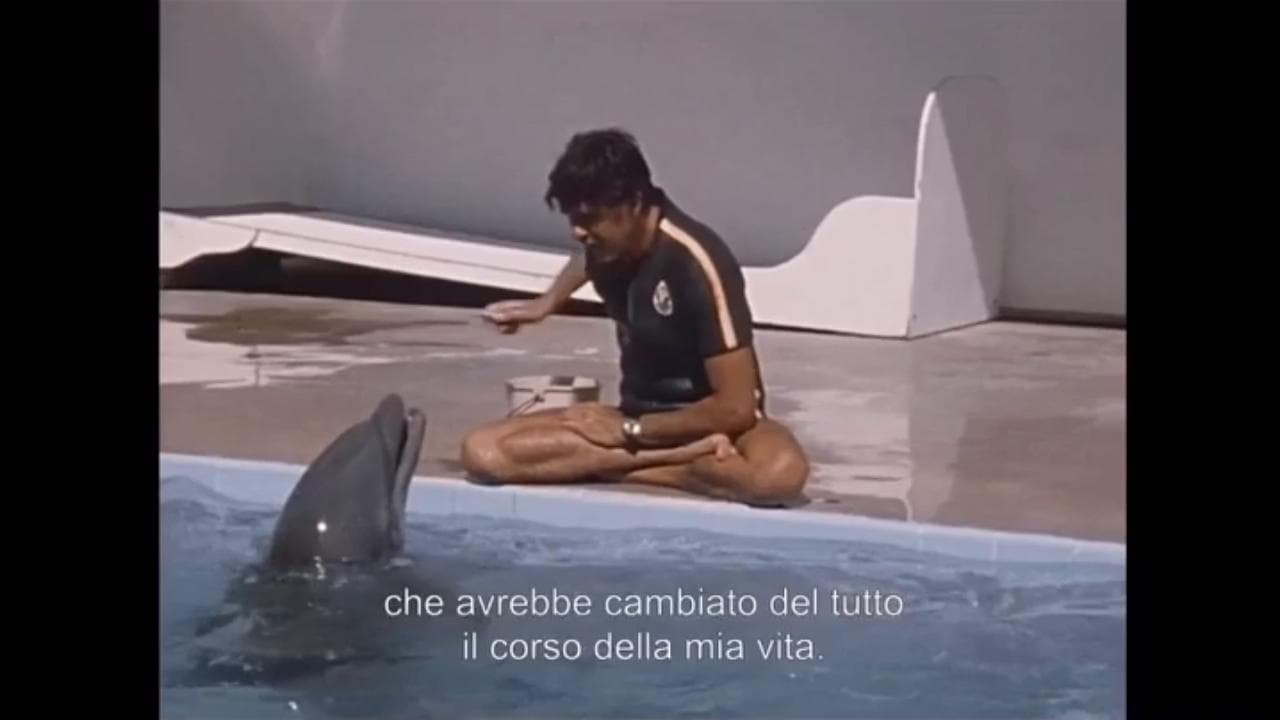 'L'uomo delfino', Jacques Mayol l'uomo dei record: "La delfina Clown il mio amore"
