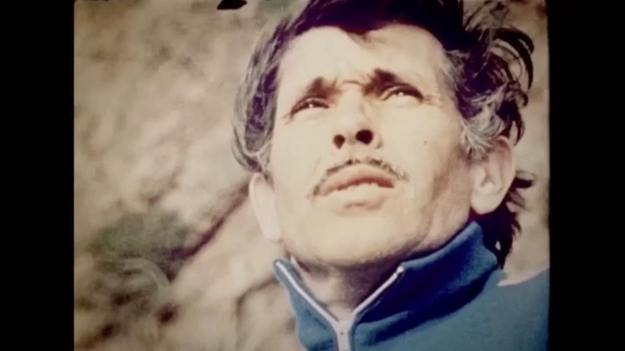'L'uomo delfino', Jacques Mayol l'uomo dei record: "Cento metri sott'acqua"