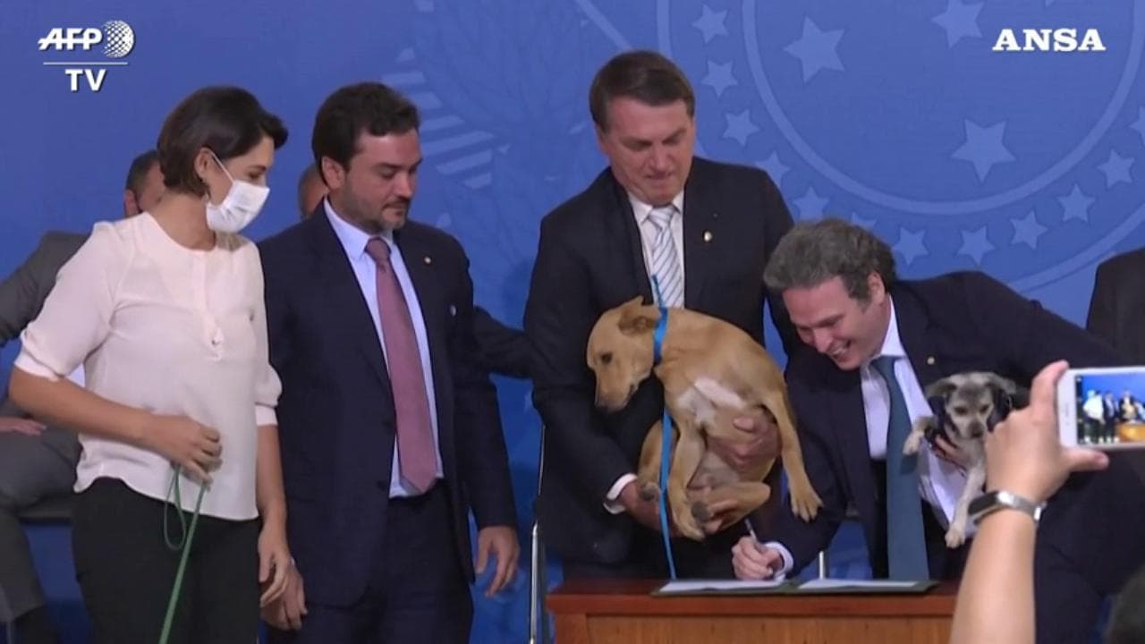 Brasile, Bolsonaro fa "firmare" al suo cane la legge sugli abusi contro gli animali