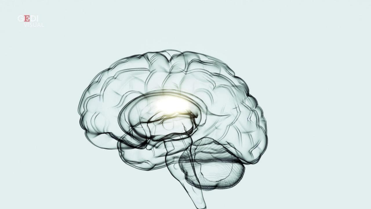 Essere smemorati è segno di grande intelligenza: la scoperta dell'Università di Toronto