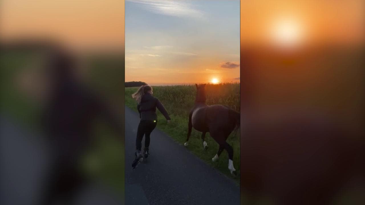 Il cavallo corre insieme alla ragazza sui pattini al tramonto: il video fa milioni di visualizzazioni