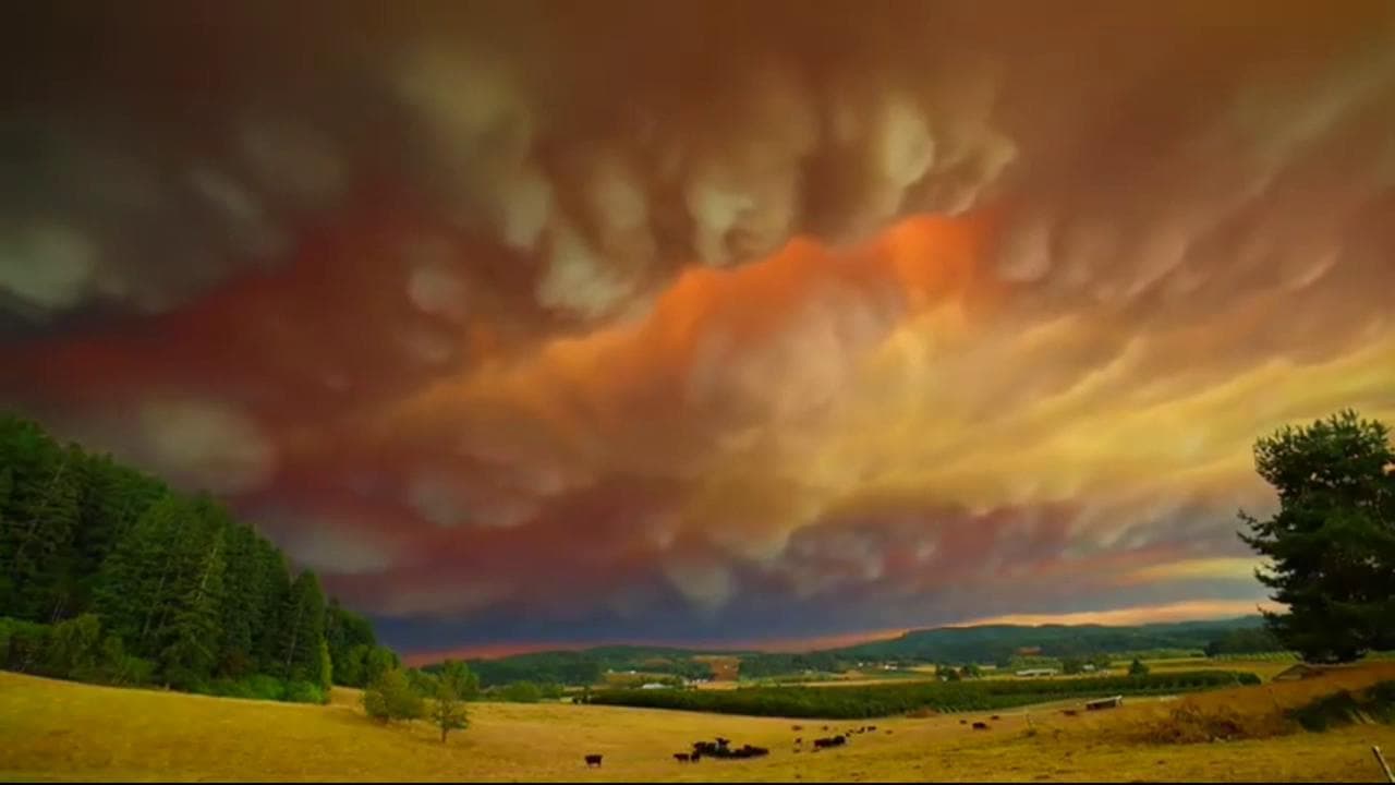 Usa, l'Oregon devastato dagli incendi: il cielo si tinge di rosso