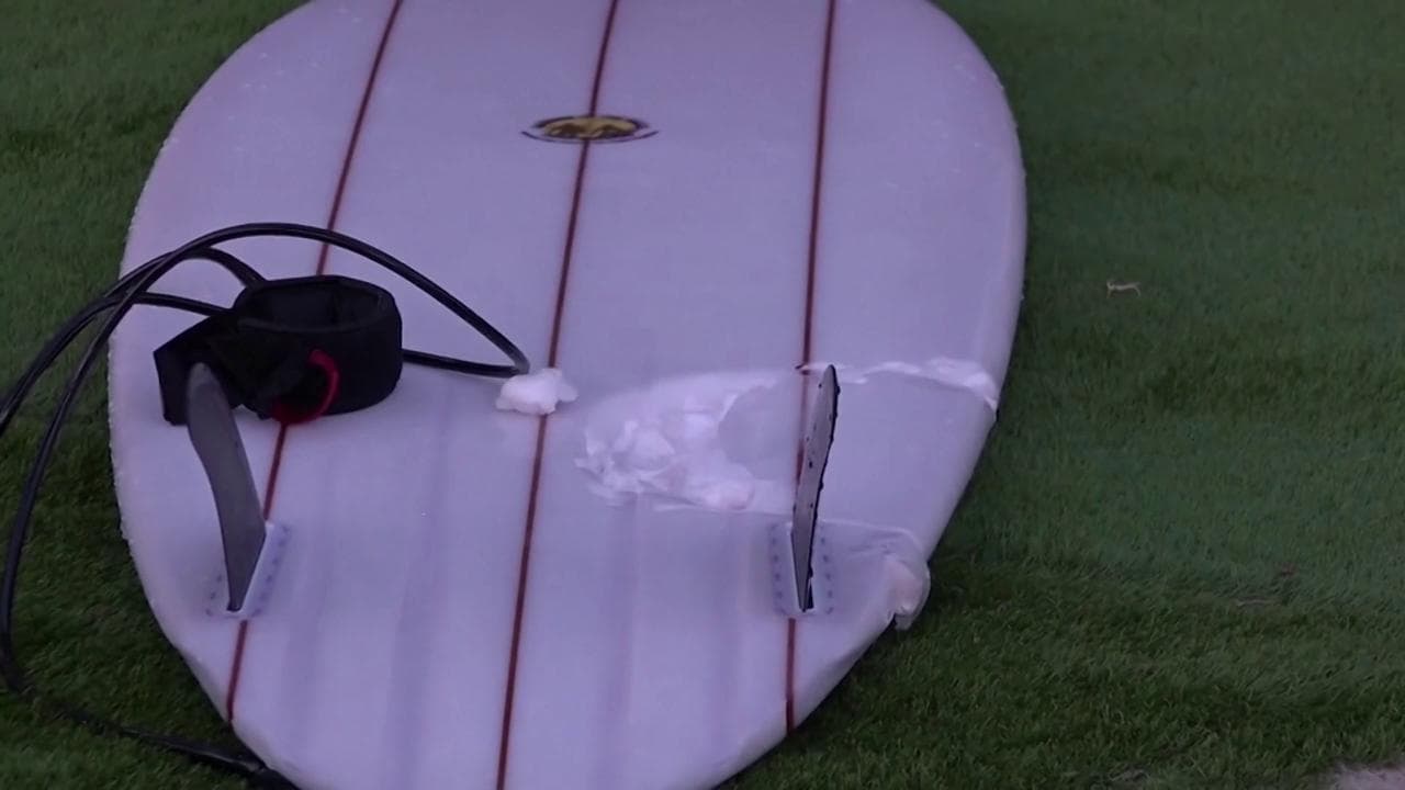 Australia, squalo bianco uccide un surfista: non accadeva da 60 anni. L'impronta sulla tavola