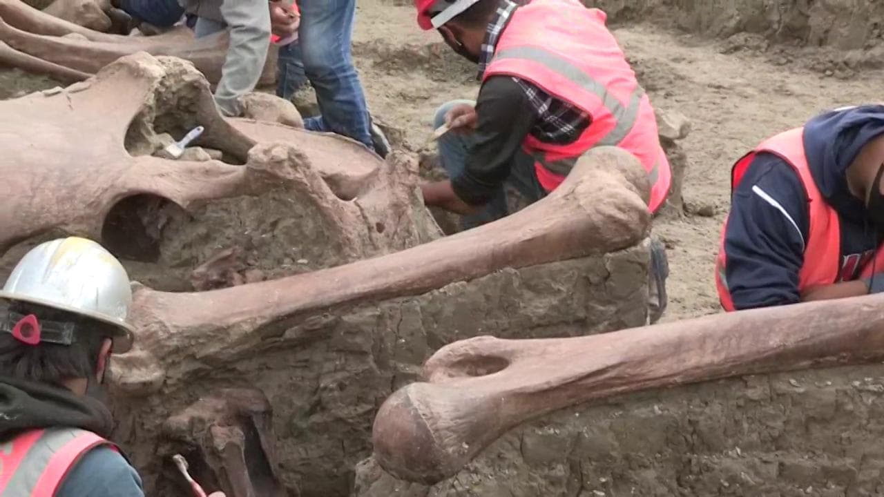 Città del Messico, gli scavi per la costruzione del nuovo aeroporto portano alla luce più di ottomila ossa