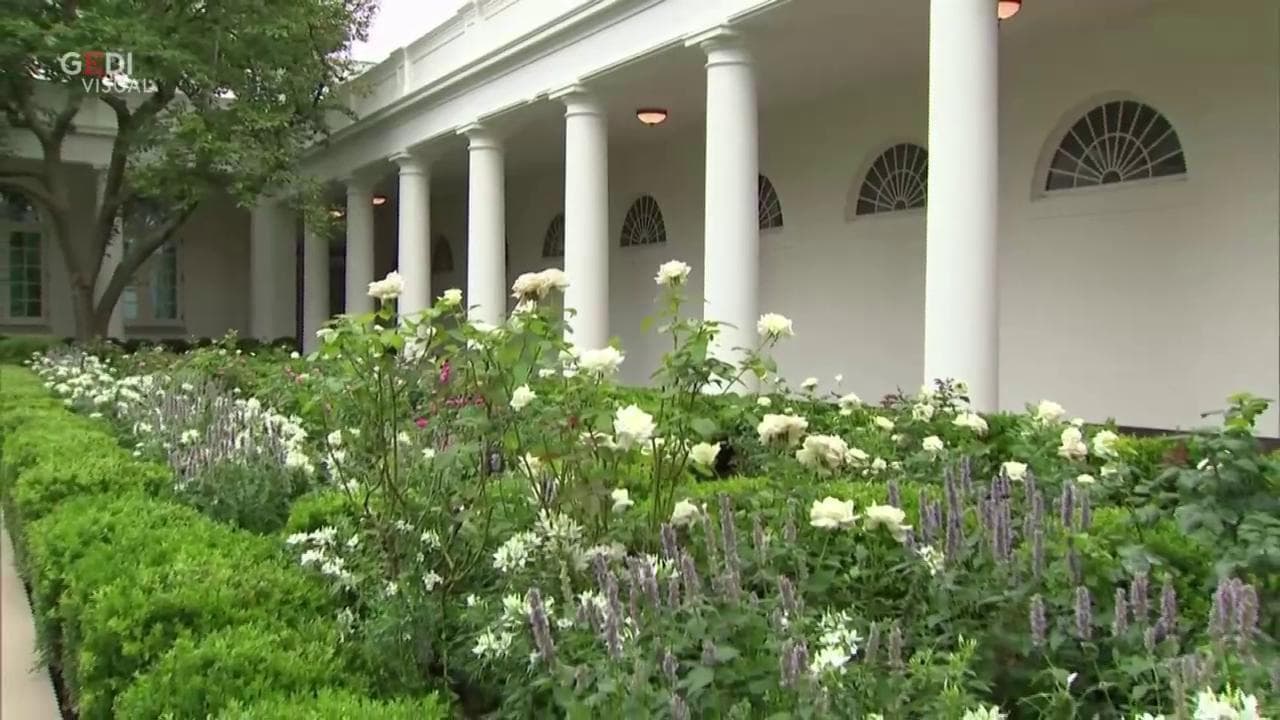 Melania rifà il Giardino delle rose della Casa Bianca e sui social è polemica: “Quello che toccano muore”