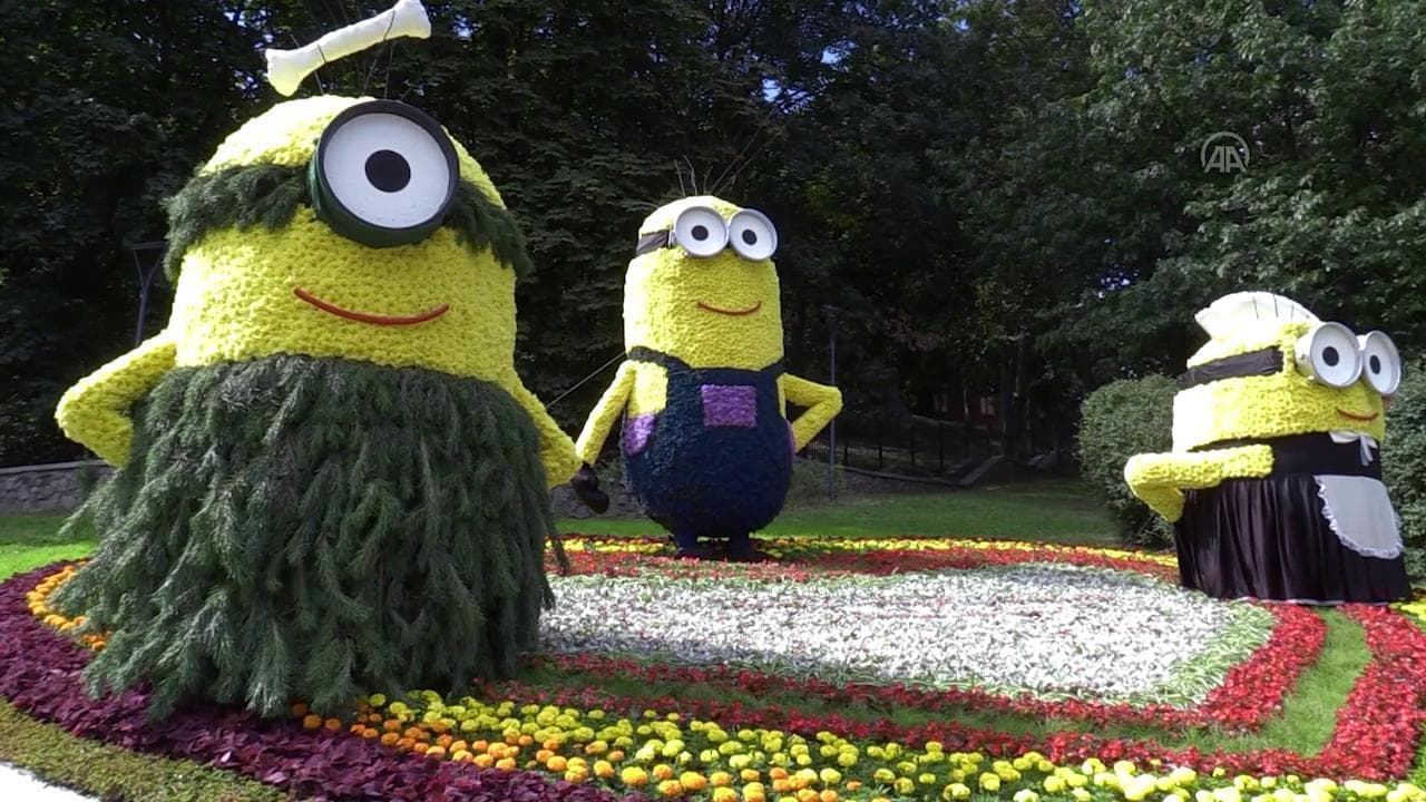 Shrek, Minions, Nemo: fiori e piante diventano cartoni animati nel giardino di Kiev