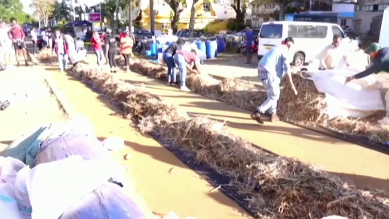 Mauritius, la battaglia dei volontari contro la "marea nera": paglia, corde e capelli