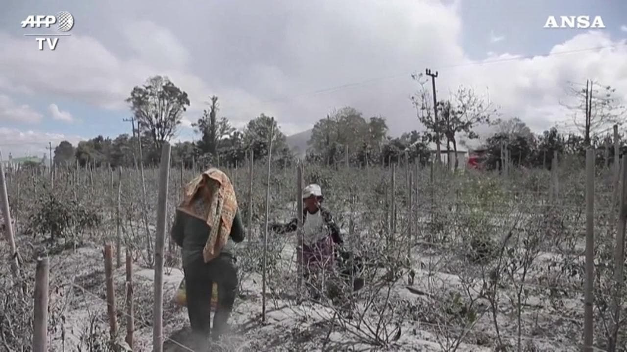 Indonesia, erutta il vulcano Sinabung: interi villaggi coperti da cenere e detriti