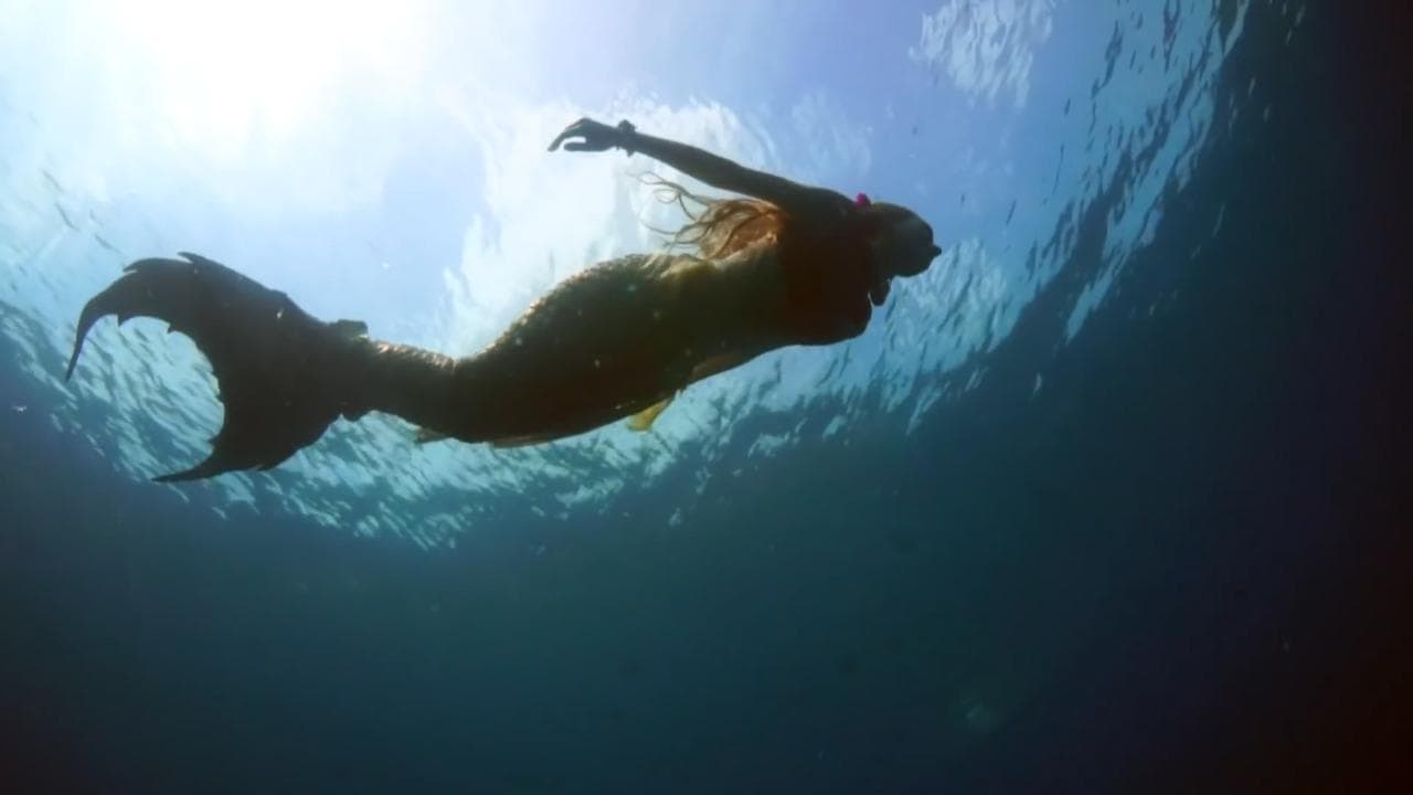 Un tuffo con Claire, la sirena dell'Acquario di Parigi