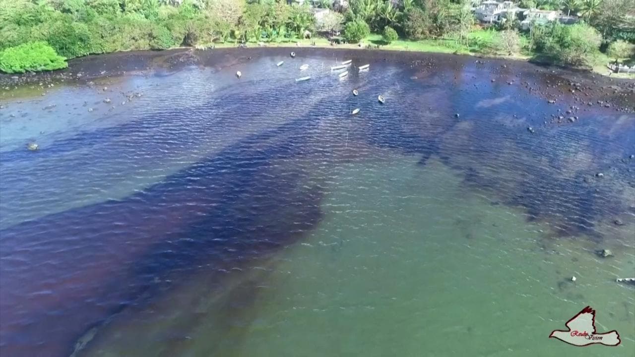 Mauritius, il paradiso avvelenato dal carburante: il disastro ecologico vista dal drone