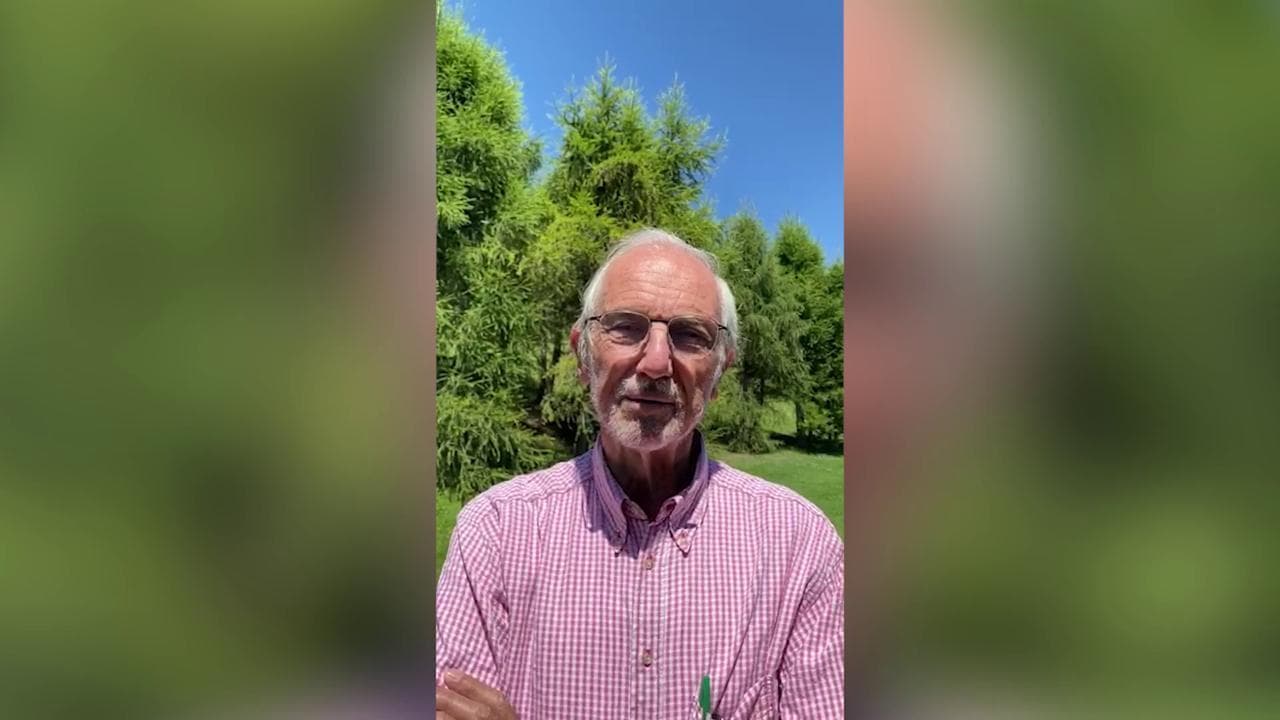 L'idea di Renzo Piano per i banchi della scuola post Covid