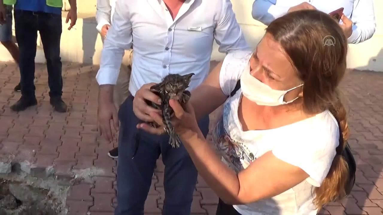 Intrappolato nel canale d'acqua per otto ore: pompieri sfondano il marciapiede per liberare il gattino