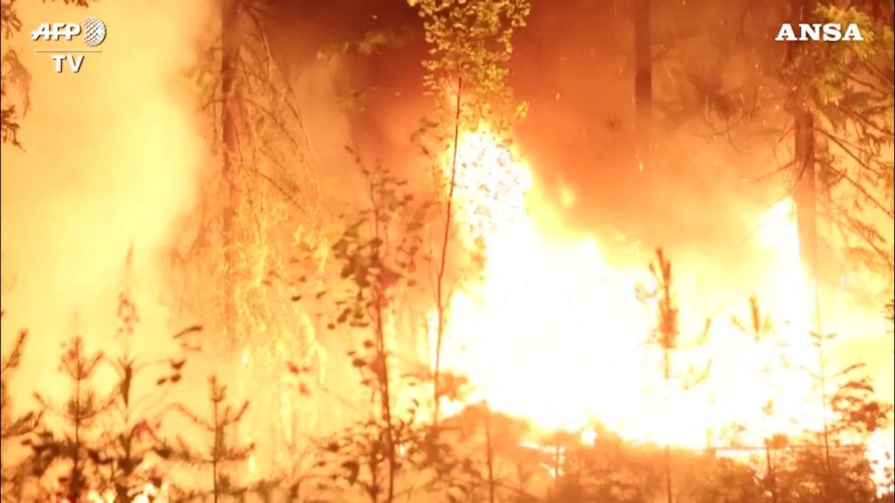 Siberia in fiamme: 300 incendi stanno devastando le foreste