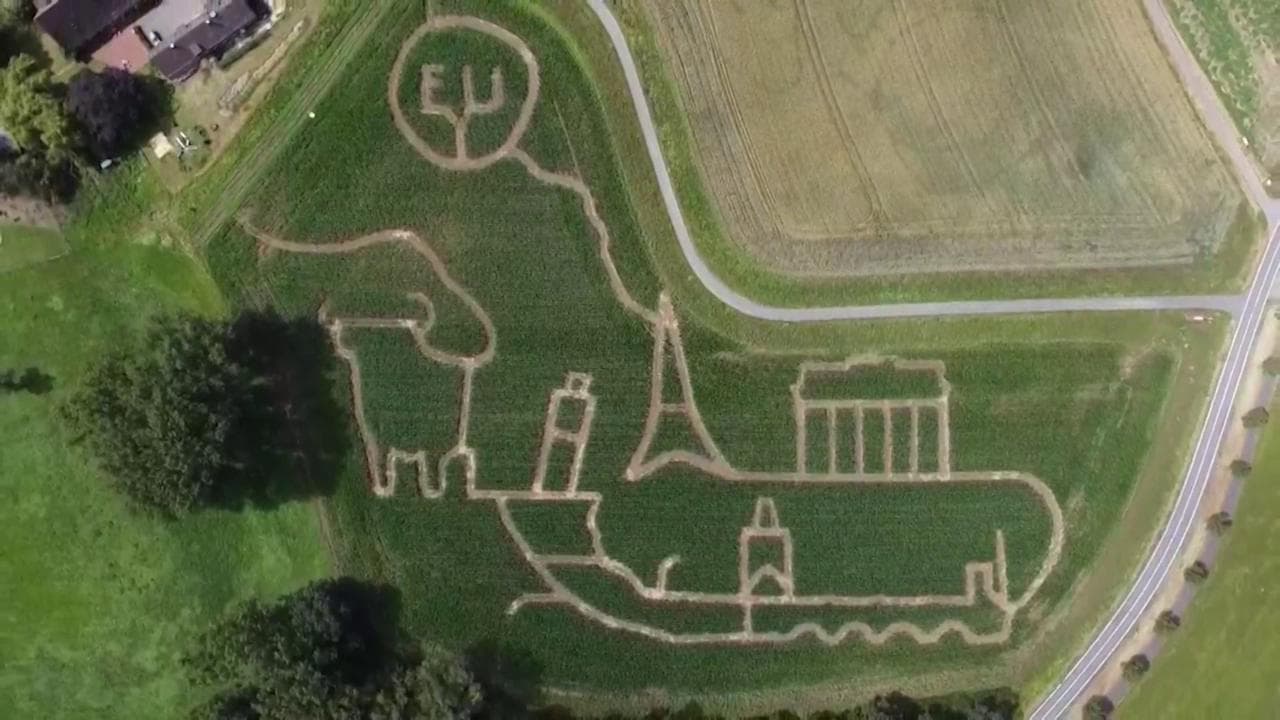 Dalla Torre Eiffel alla Porta di Brandeburgo: i disegni nel campo di grano omaggiano l'Ue