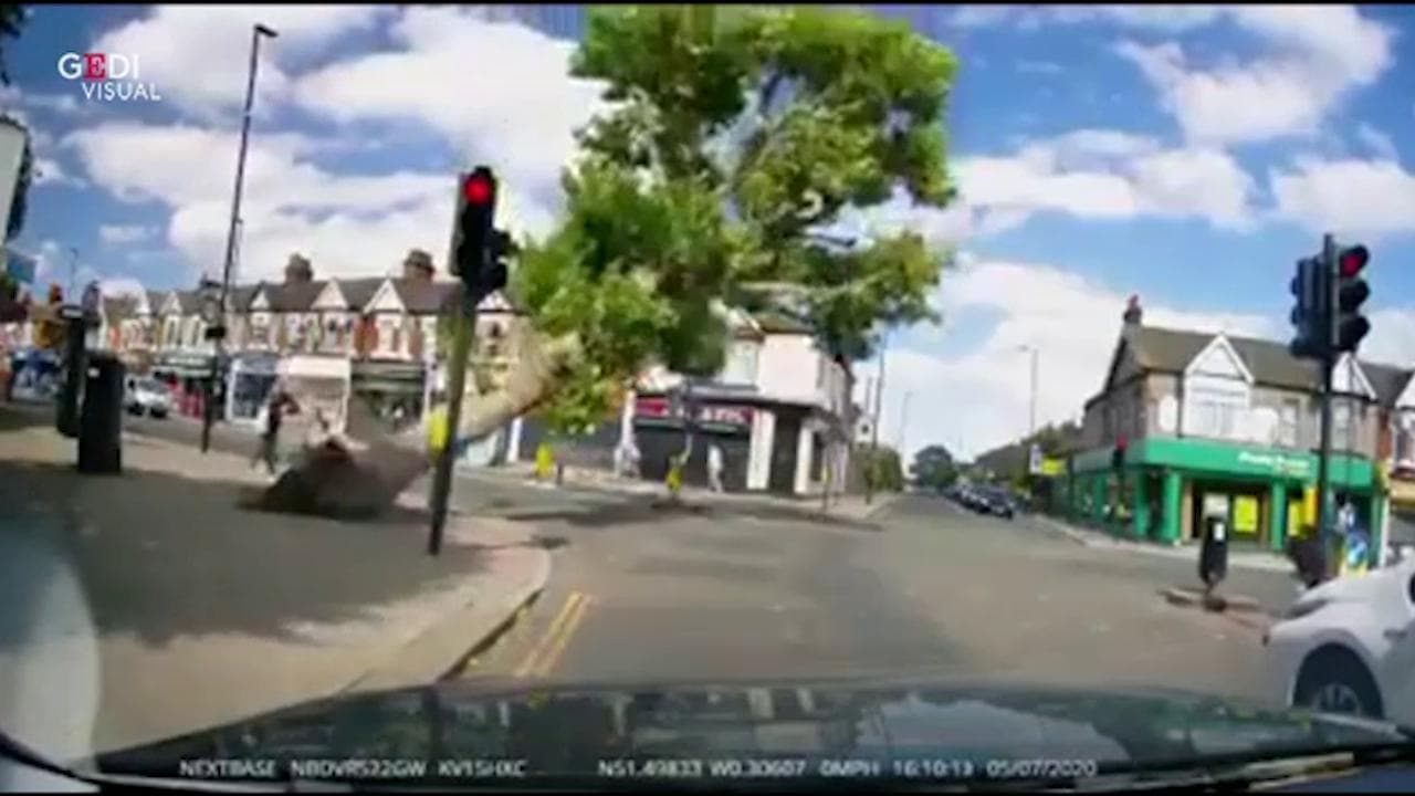 Londra, albero cade sulla strada: due passanti si salvano all'ultimo istante