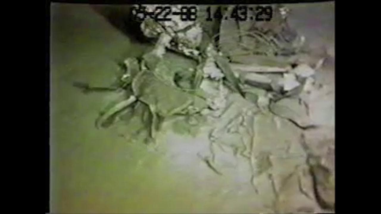 Strage Ustica, sul fondo del mare i resti di un reattore del DC-9 precipitato