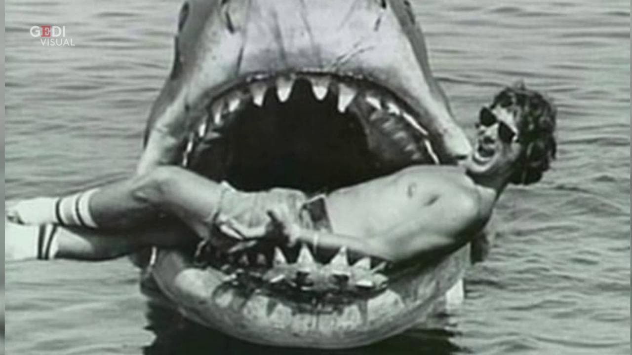 'Lo Squalo', le curiosità sul film-cult di Steven Spielberg