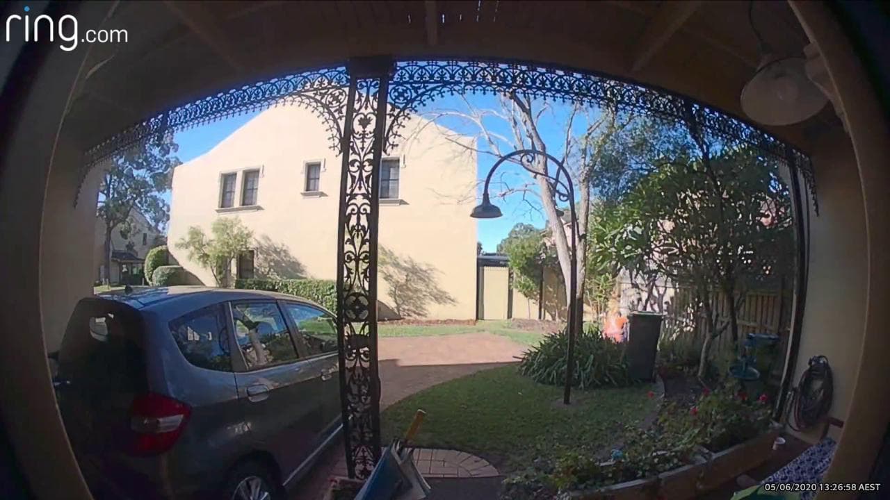 Si intrufola in un giardino e poi cerca di scappare scavalcando la recinzione: il risultato è un disastro