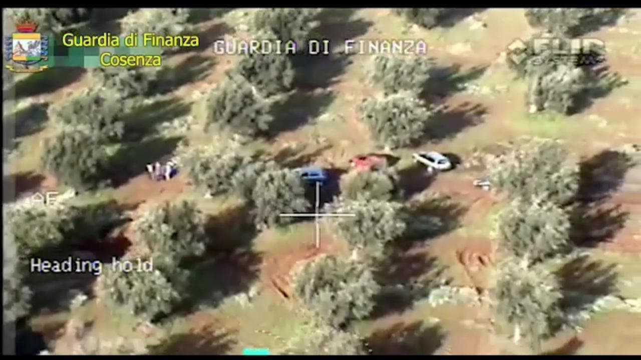 "Domani ci vogliono le scimmie", braccianti trattati come schiavi: 52 arresti nel cosentino