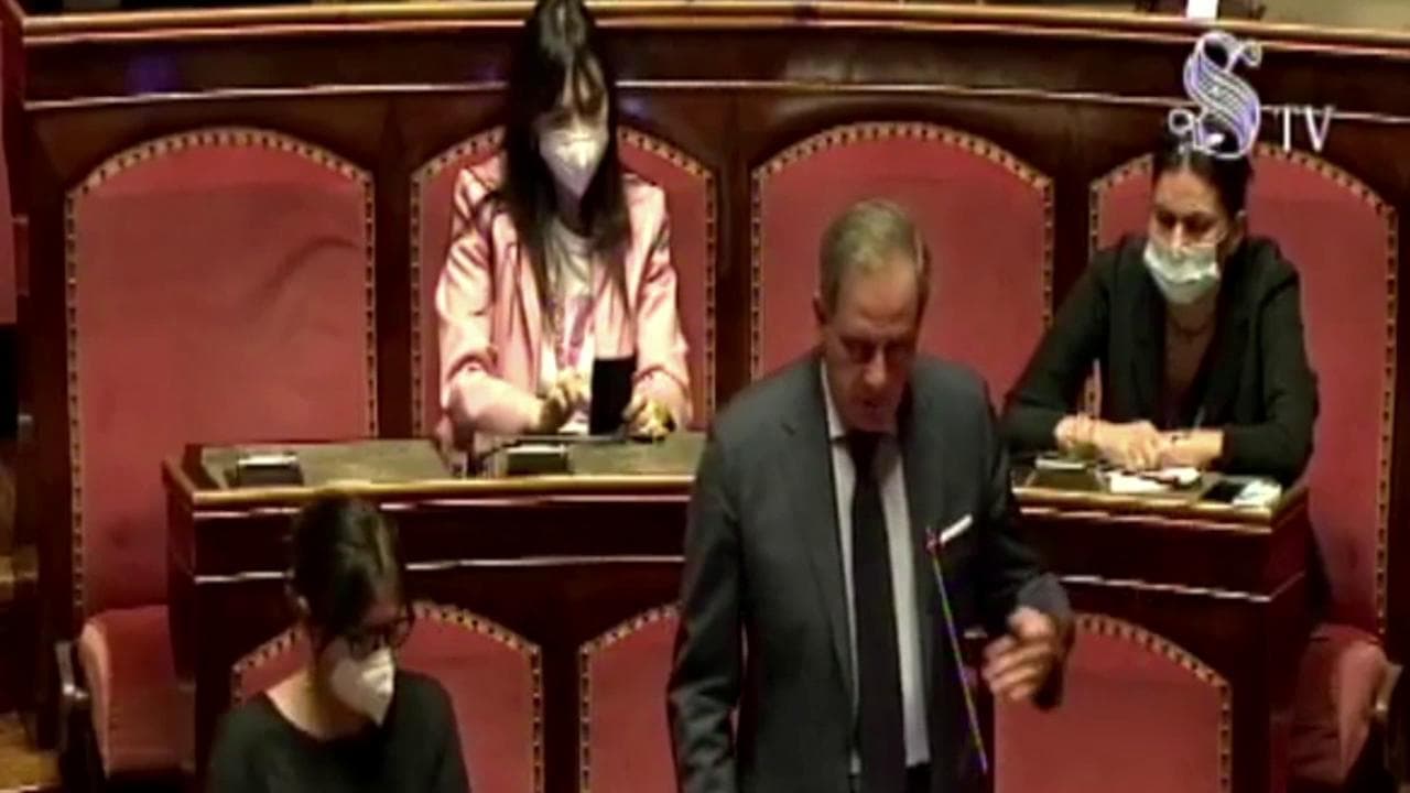 Senato, attacco sessista di Moles (Forza Italia) ad Azzolina: "Credibilità come verginità, impossibile da recuperare"