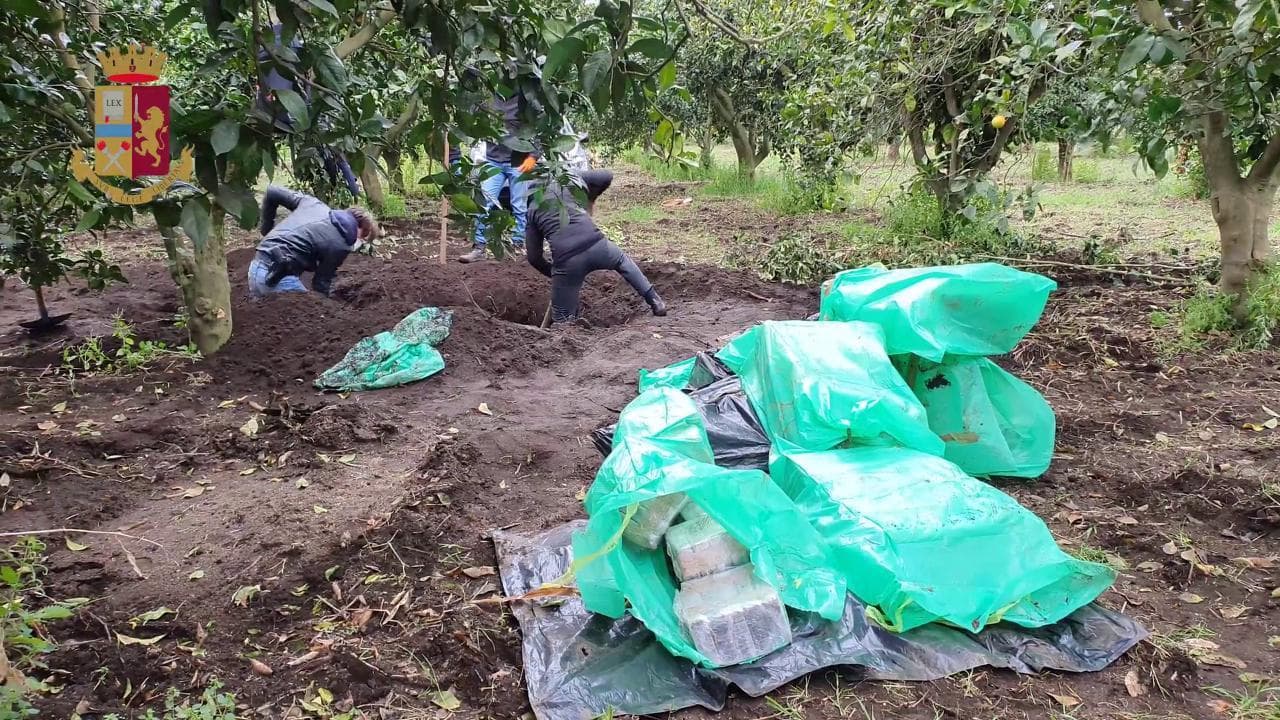 Gioia Tauro, mezza tonnellata di droga in giardino: arrestato il figlio del boss ergastolano Molè