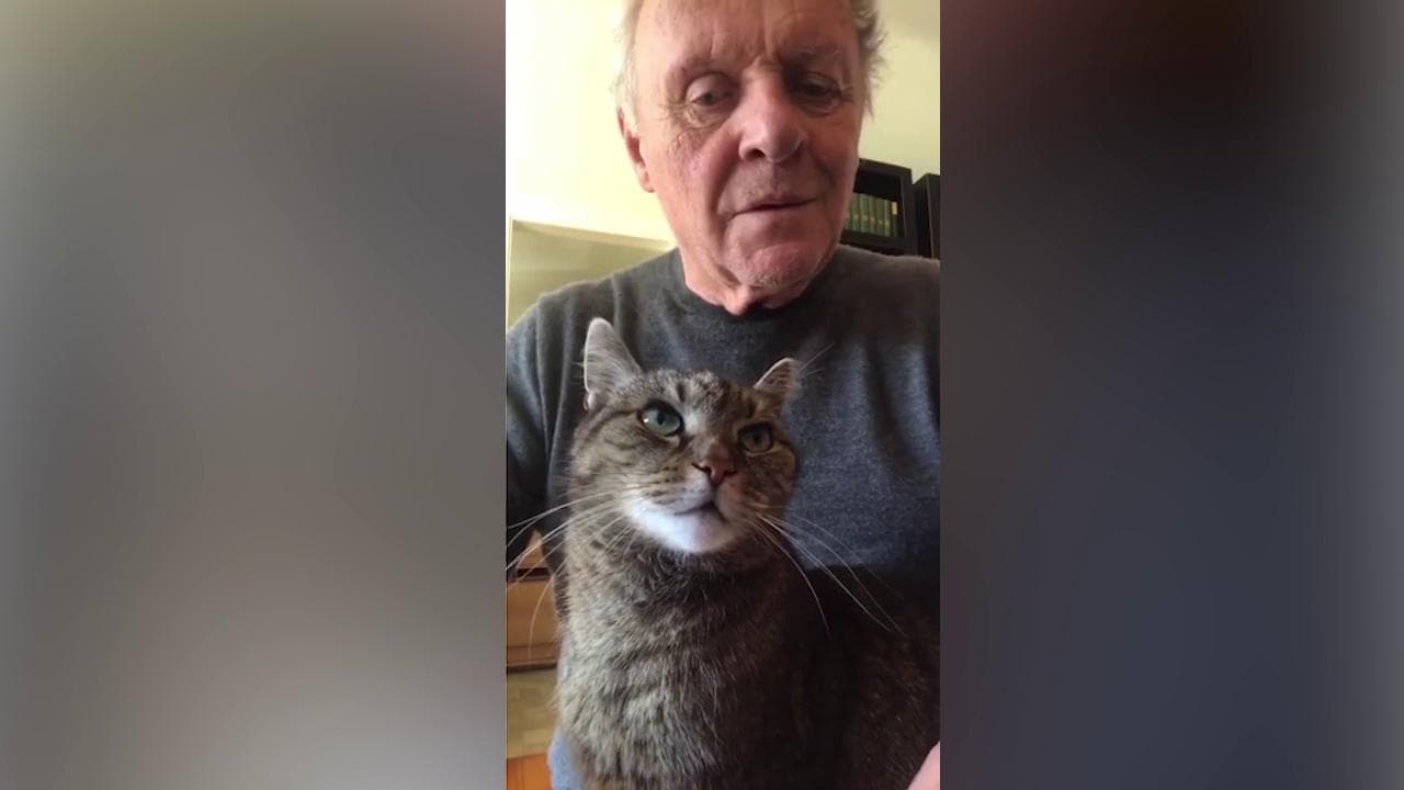 Coronavirus, Anthony Hopkins suona il piano per il suo gatto: "Si prende cura di me"