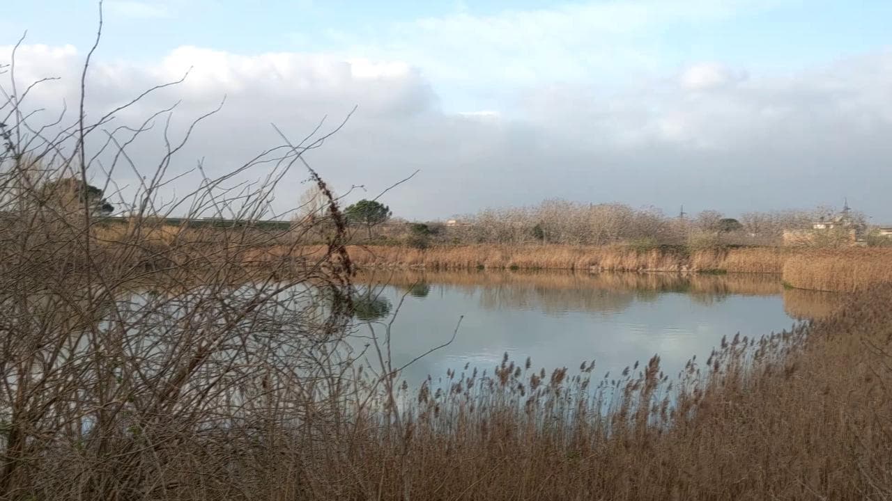 I laghi dei veleni alle pendici del Vesuvio: il videoreportage sull'inquinamento del Sarno