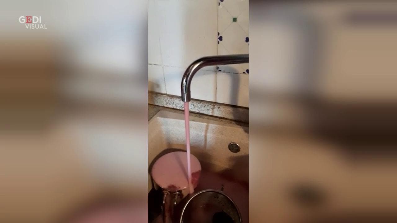 Modena, guasto in azienda vinicola: dal rubinetto di casa esce lambrusco