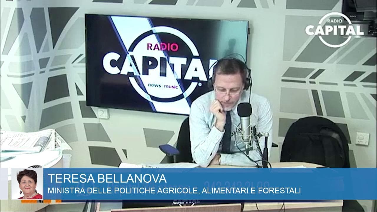 Coronavirus, la ministra Bellanova: "Basta teatrino e comparsate in tv, rischiamo di chiudere il Paese"