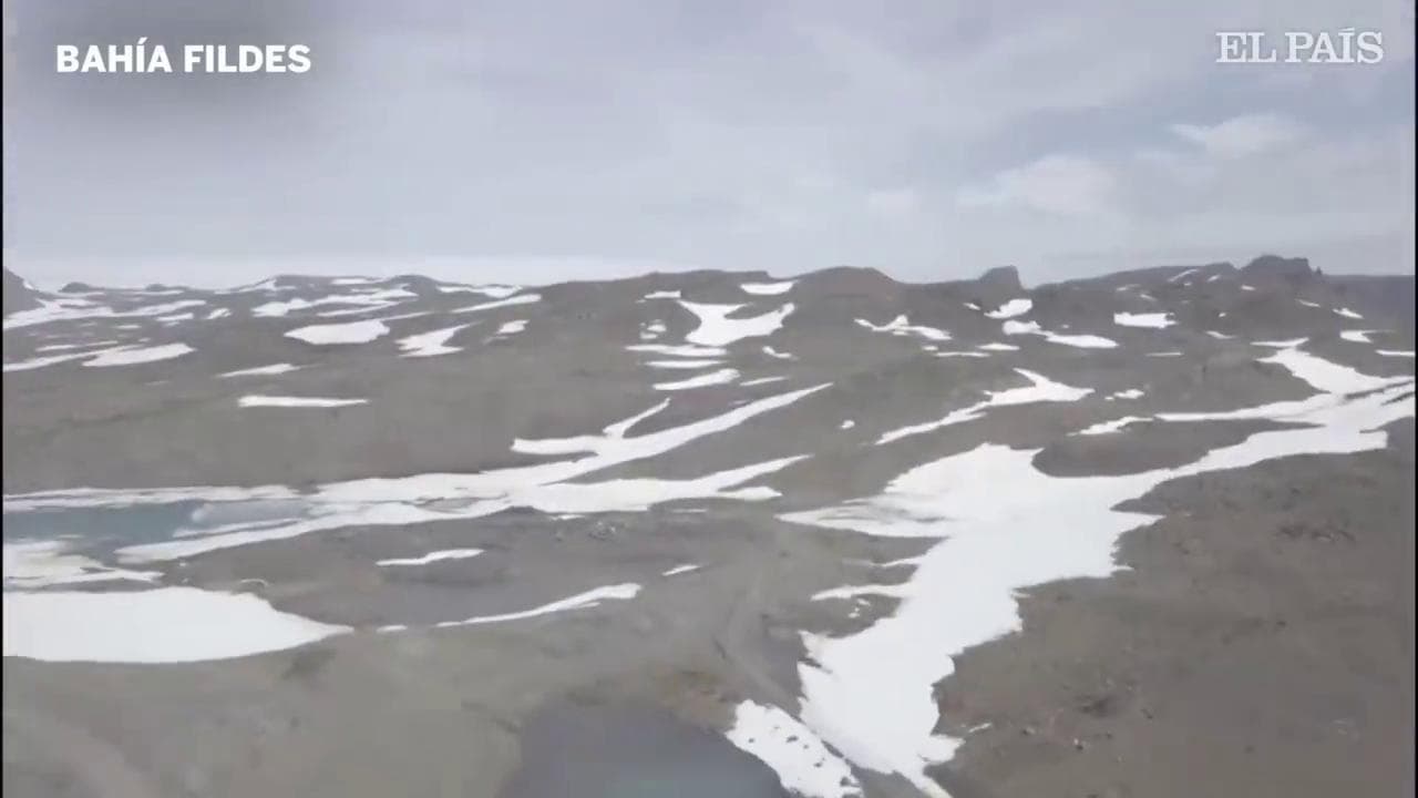 "Ecco come appare l'Antartide senza neve": i ricercatori sorpresi dalla carenza di ghiaccio