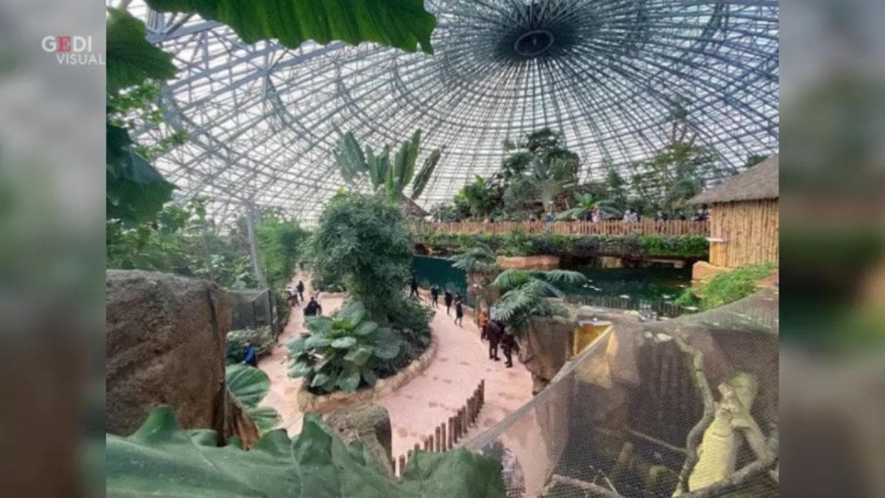 Francia, una foresta tropicale tra i castelli della Loira: la cupola avveniristica dello zoo di Beauval