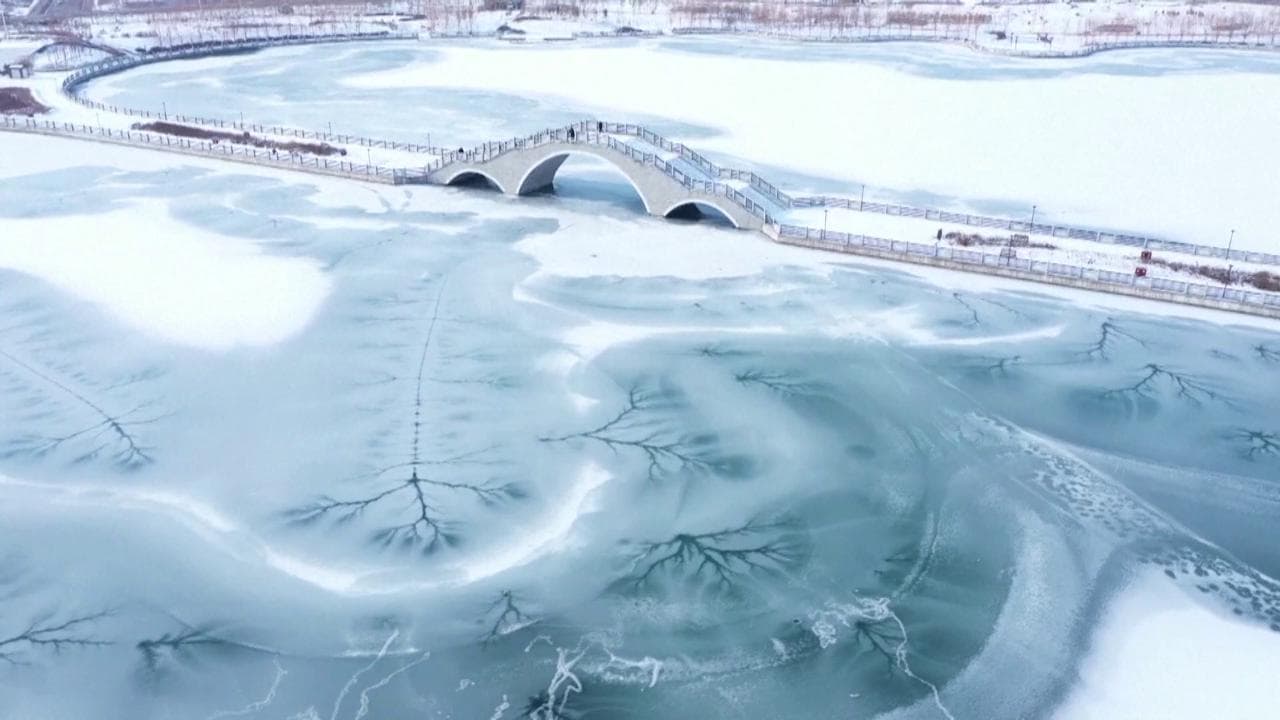 Cina, le crepe nel lago ghiacciato sembrano rami: la vista è mozzafiato