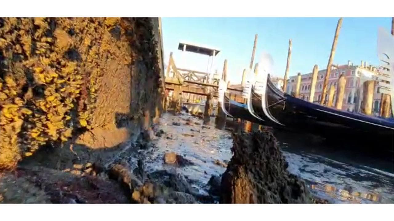 Incredibile Venezia, dall'acqua alta alla bassa marea estrema