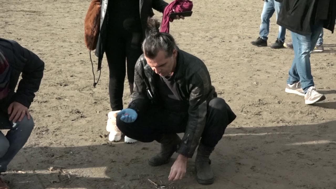 Argentario, volontari puliscono la spiaggia della Feniglia: c'è anche Piero Pelù