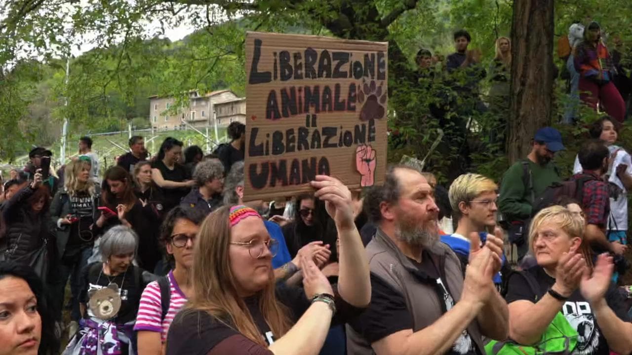 Trento, Casteller: la manifestazione degli animalisti  a sostegno della liberazione di JJ4