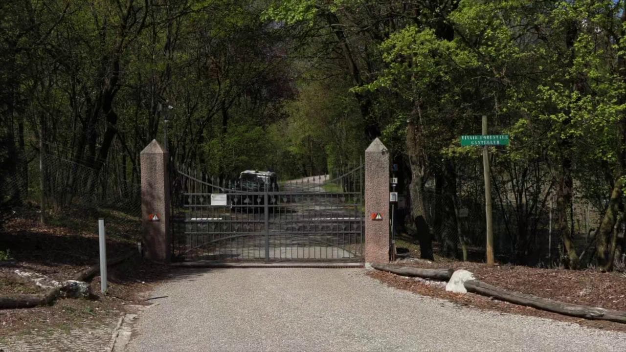 JJ4 catturata e portata al Casteller di Trento: ecco il recinto-prigione dov'è rinchiusa l'orsa